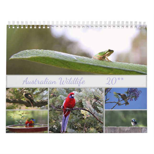 Calendário Motivação da fotografia da vida selvagem australia (Capa)