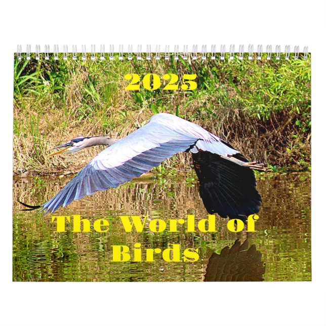 Calendário Mundial de Aves 2025 (Capa)
