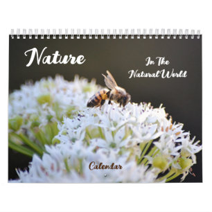 Calendário Mundial Natural da Natureza