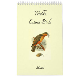 Calendário Mundo Aves Extintas Vintage Art Birders 2026 Muro
