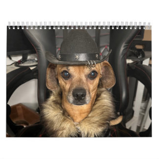 Calendário Mundo das Miniações