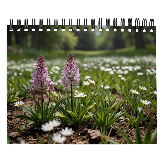 Calendário Muro Cênico 2025 (Capa)