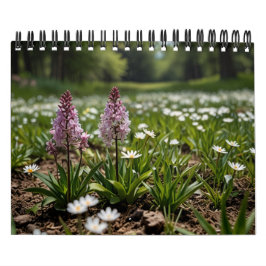 Calendário Muro Cênico 2025