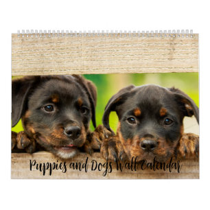 Calendário Muro de Cães e Cães