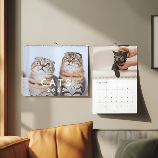 Calendário Muro de Fotografias Personalizável de Gatos Cortes (Criador carregado)