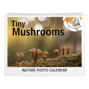 Calendário Mushroom Nature Fotos 2025