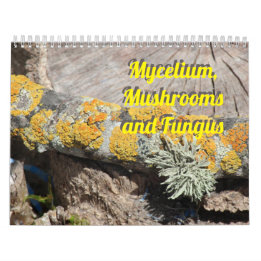 Calendário Mycelium, Mushrooms and Fungus