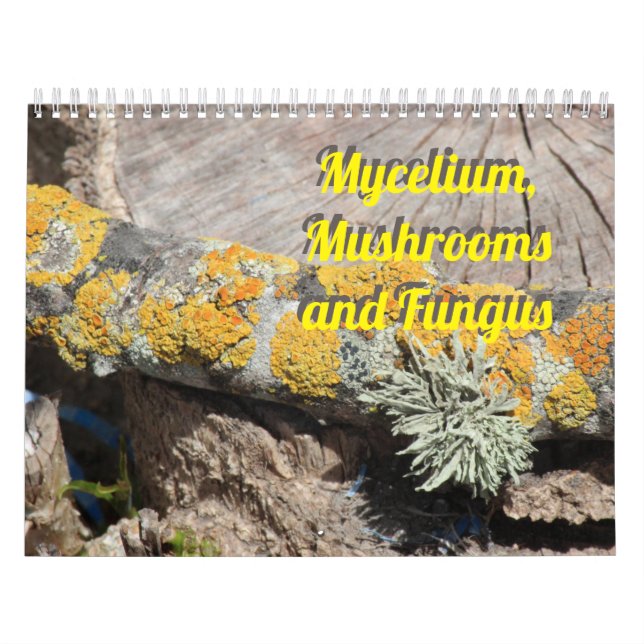 Calendário Mycelium, Mushrooms and Fungus (Capa)