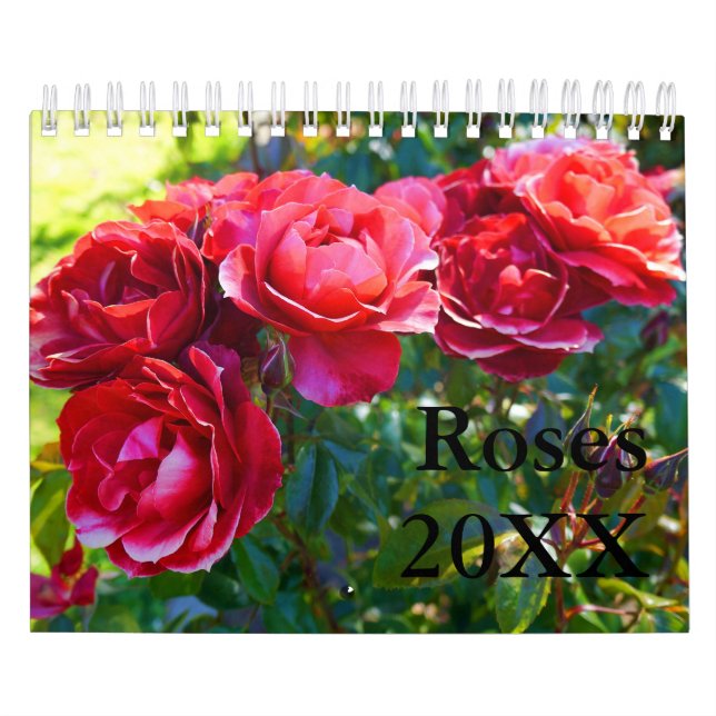 Calendário nº 1 do rosa (Capa)