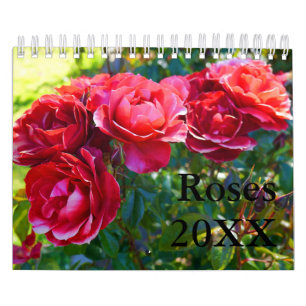 Calendário nº 1 do rosa