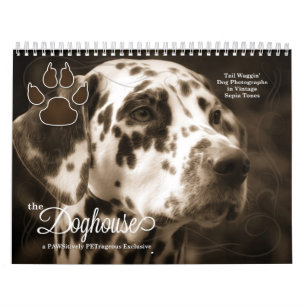Calendário Na Casa dos Cachorros Diversão Dog Data