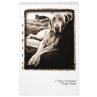 Calendário Nação de Weimaraner: Um estudo de Weimaraners