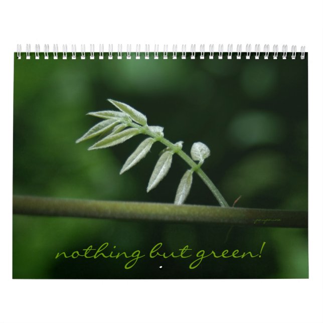 Calendário nada mas verde! (Capa)