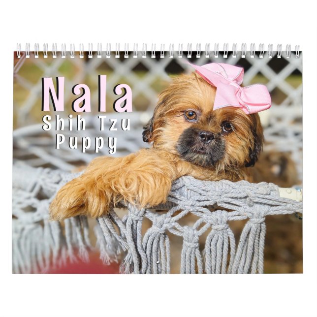 Calendário Nala Shih Tzu Cutest Puppy  (Capa)
