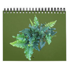 Calendário Native Plants - Pacific northwest