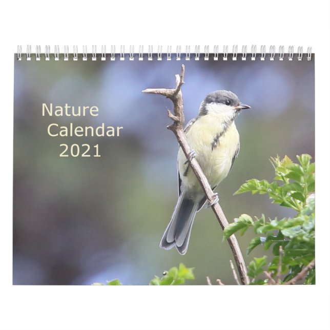 Calendário natural 2021 (Capa)