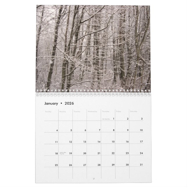 Calendário natural da maravilha 2010 (Jan 2026)