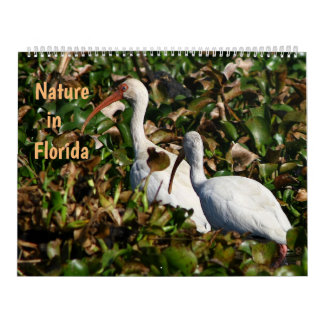 Calendário Nature in Florida