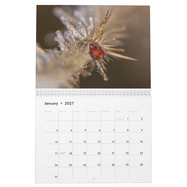 Calendário Nature inspired 2026 calendar (Jan 2027)
