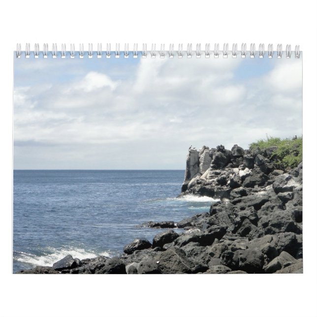 Calendário nature of the Galapagos (Capa)
