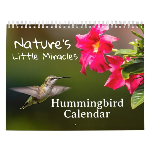 Calendário Nature's Little Miracles Hummingbirds (Capa)