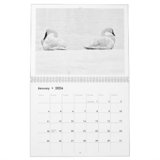 Calendário Nature's Perspectives - 2026 Wall Calendar