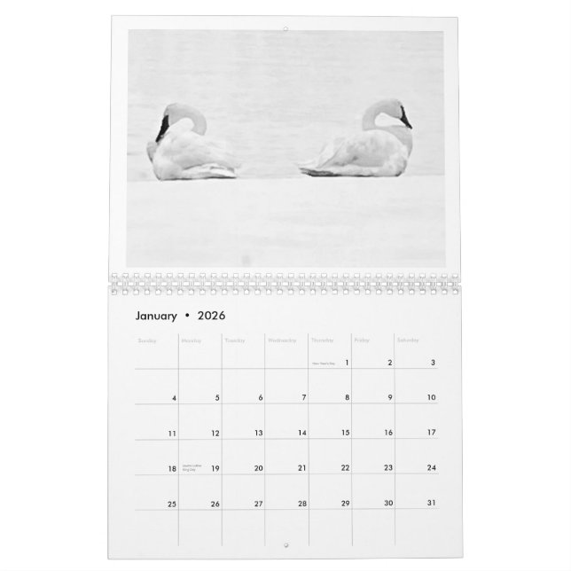 Calendário Nature's Perspectives - 2026 Wall Calendar (Jan 2026)