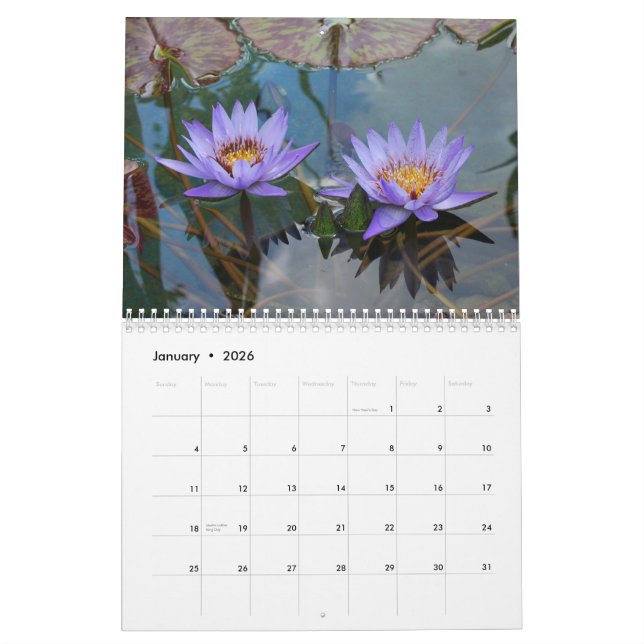 Calendário Natureza 2013 (Jan 2026)