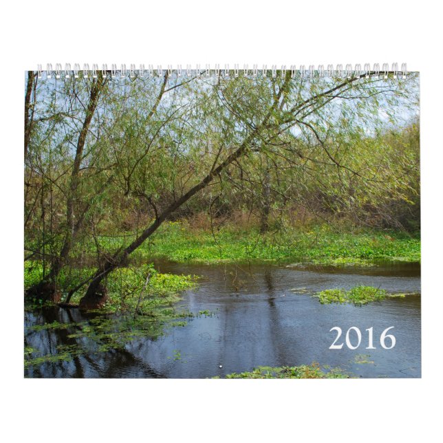 Calendário Natureza 2016 (Capa)
