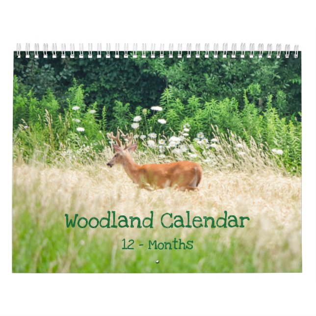 Calendário Natureza das florestas (Capa)