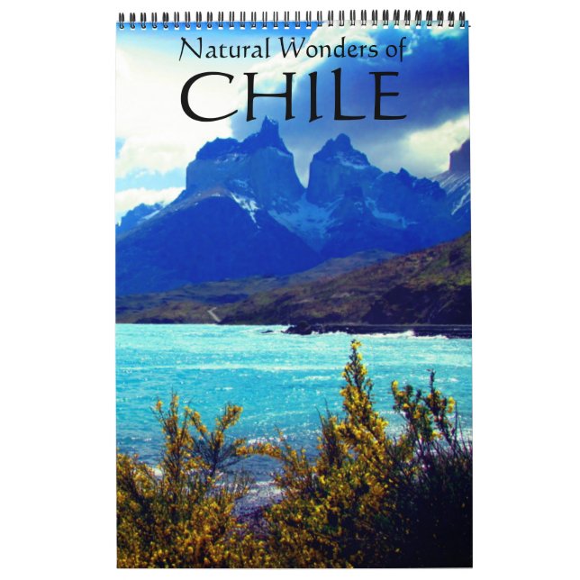 Calendário natureza do chile (Capa)