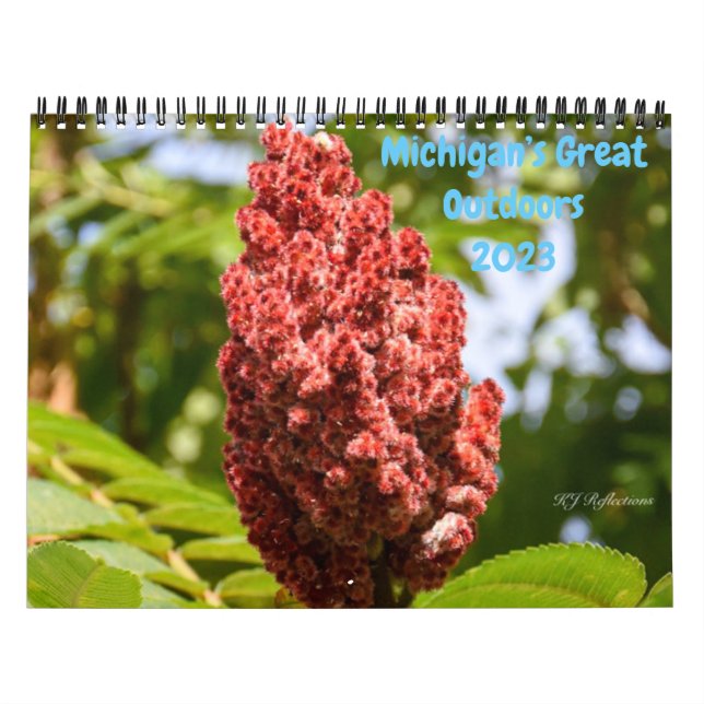 Calendário Natureza em Michigan (Capa)