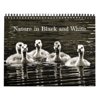 Calendário Natureza em preto e branco