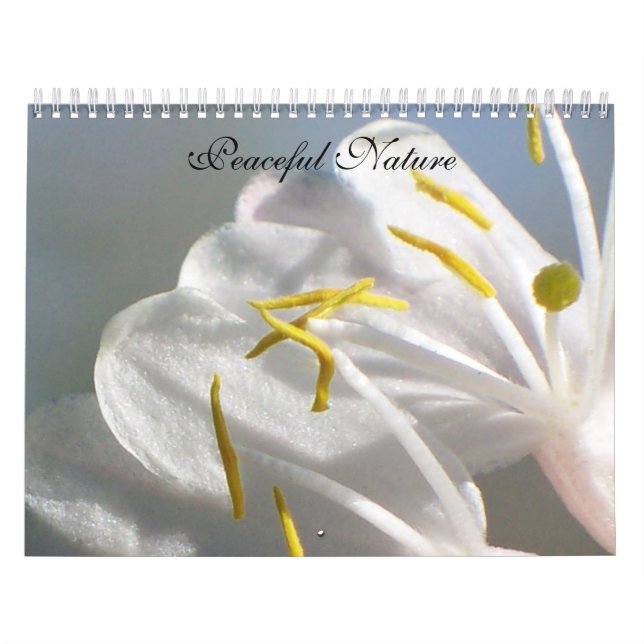 Calendário Natureza Pacífica (Capa)