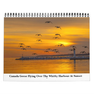 Calendário Natureza Para 2023