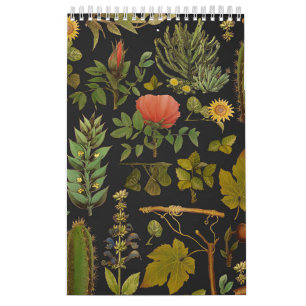 Calendário Natureza Verde Cactus