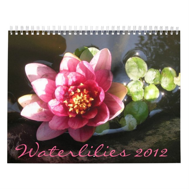 Calendário Nenúfares 2012, Página Dupla (Capa)