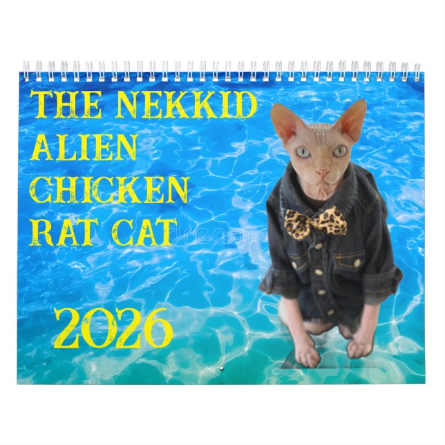 Calendário New 2026 Calendar (Capa)