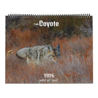 Calendário New! 'I am Coyote' 2026 calendar