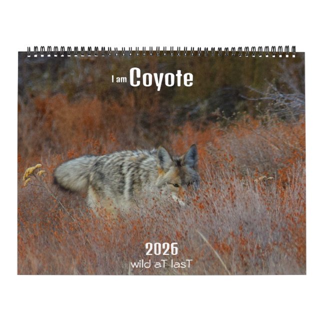 Calendário New! 'I am Coyote' 2026 calendar (Capa)
