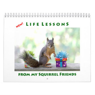 Calendário New Life Lessons Funny Squirrel Calendar