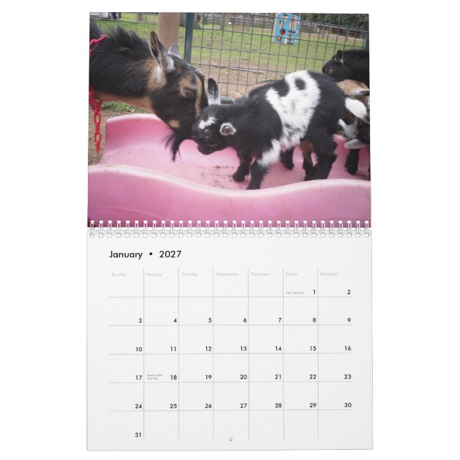 calendário nigeriano da cabra 2014 do anão (Jan 2027)
