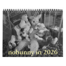 nobunny in 2026 calendar retrospective edition