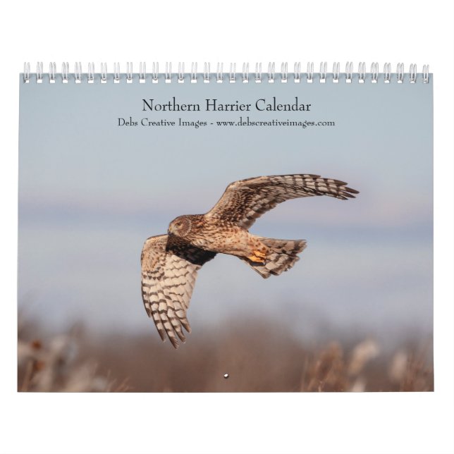 Calendário Norte Harrier 2026 (Capa)