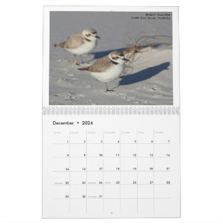 Calendário North American Birds por Emily Willoughby