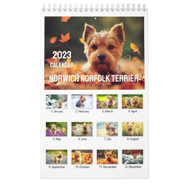 Calendário Norwich Norfolk Terrier 2023 (Capa)