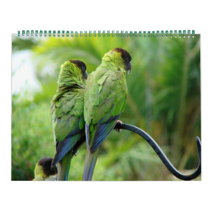 Calendário Nosso Yard