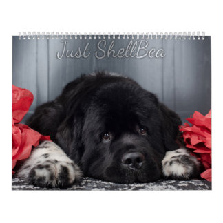 Calendário Notta Bear Newfoundlands ShellBea