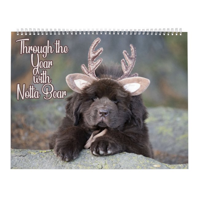 Calendário Notta Bear Through The Year (Capa)