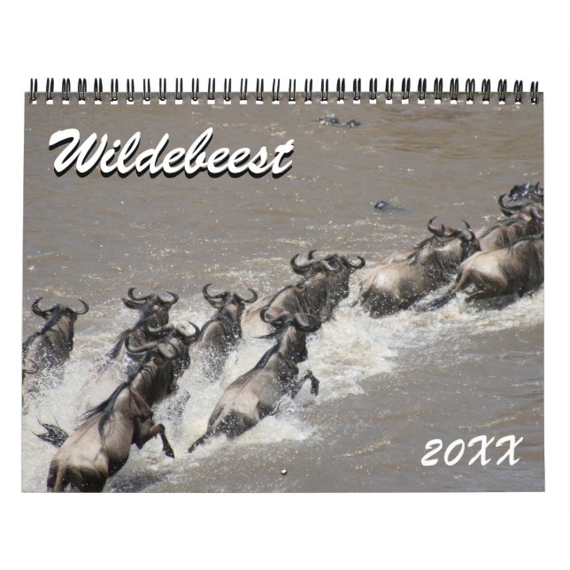 Calendário ñu 2027 (Capa)